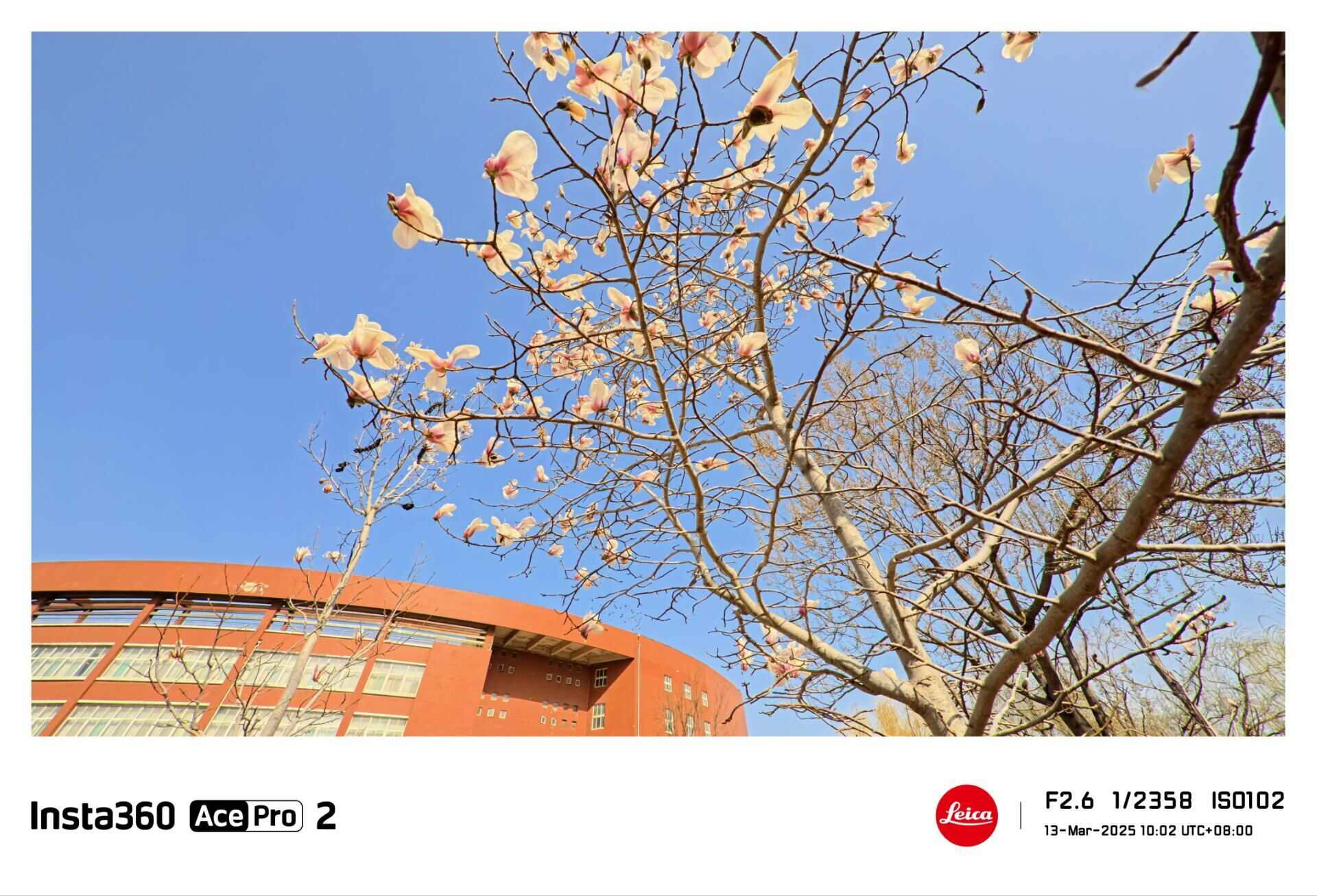 8bc28727e397e48378f1a2043ff27b92