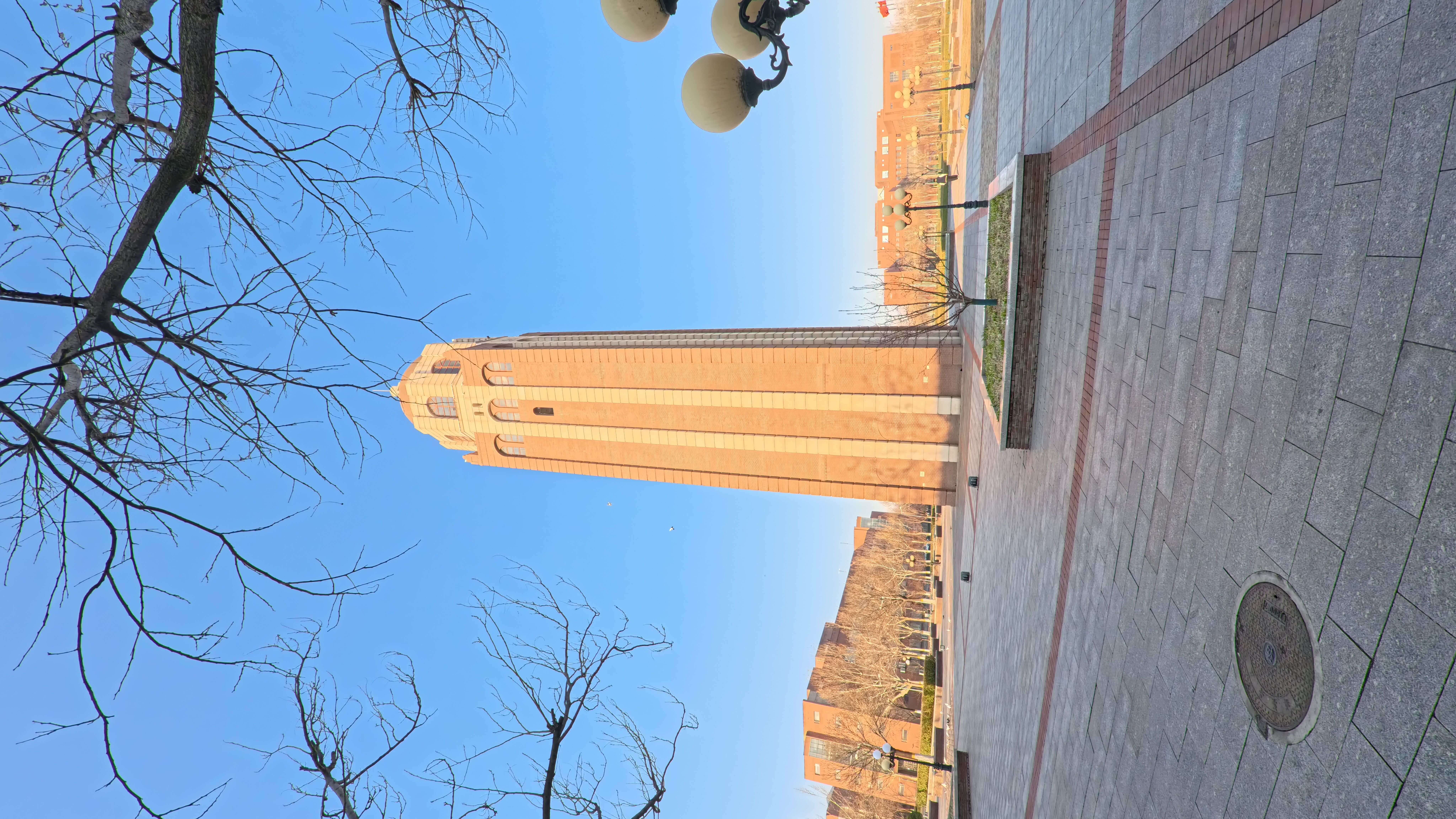 IMG_20250316_075518_337