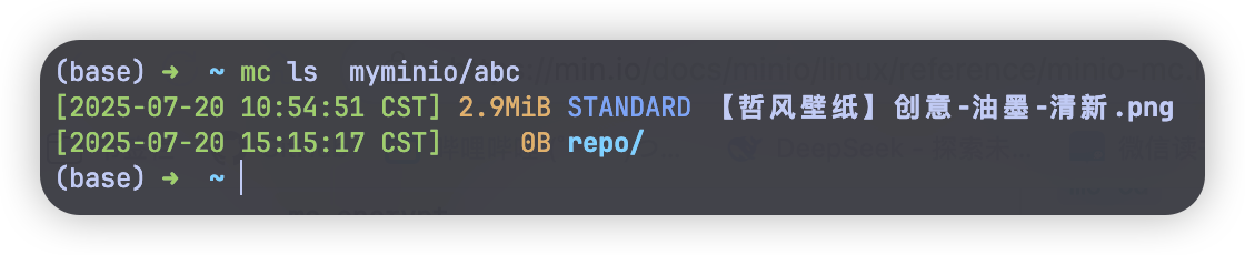 image-20250720151524415